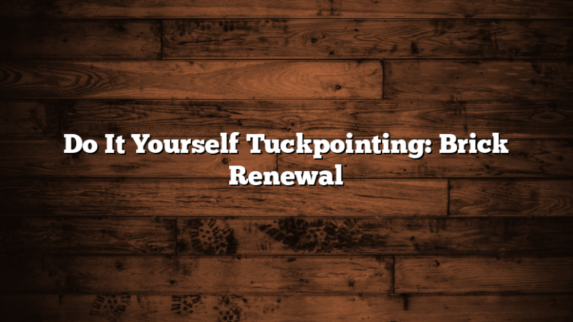 Do It Yourself Tuckpointing: Brick Renewal